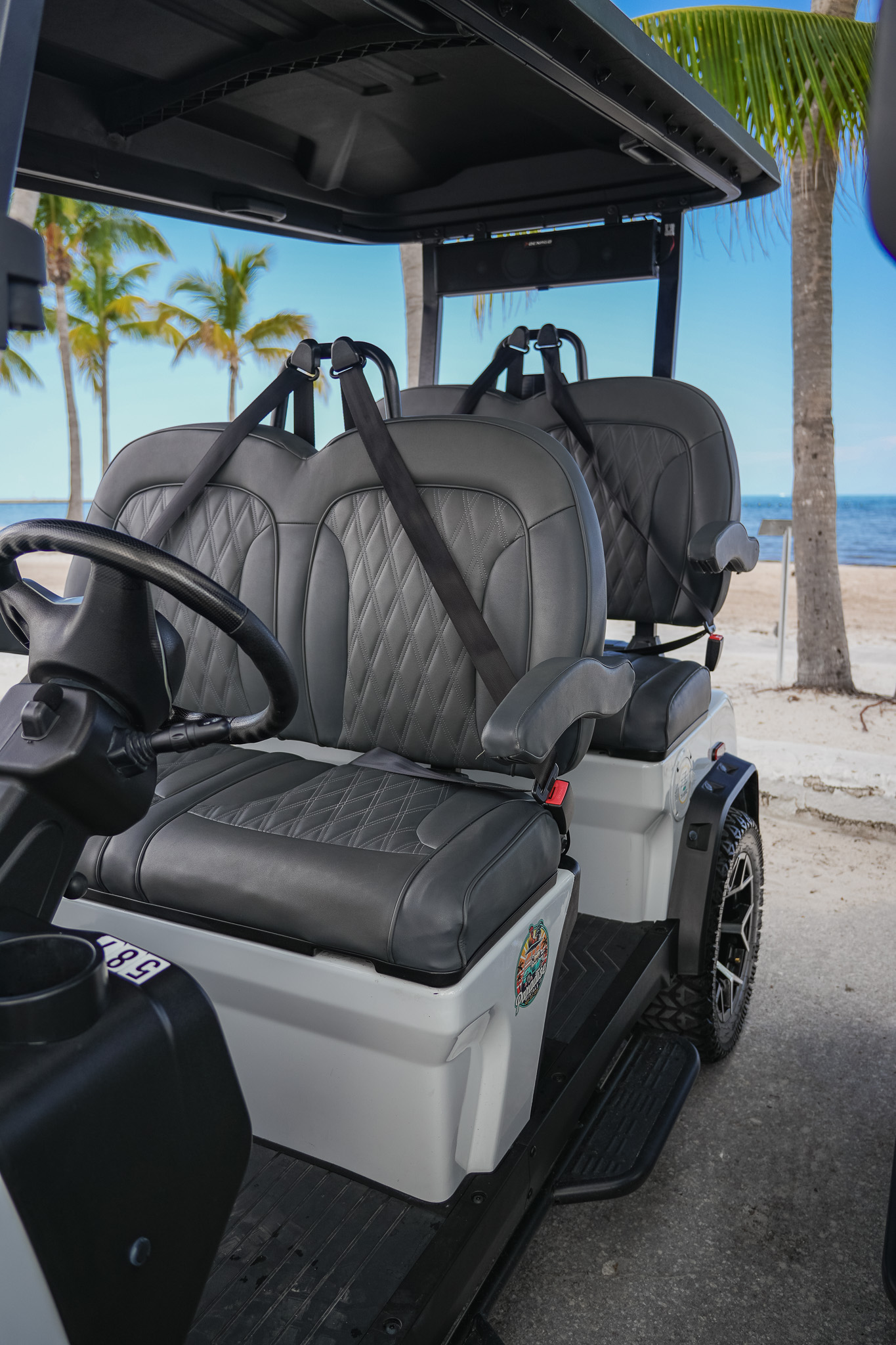 White golf cart front row leather seats