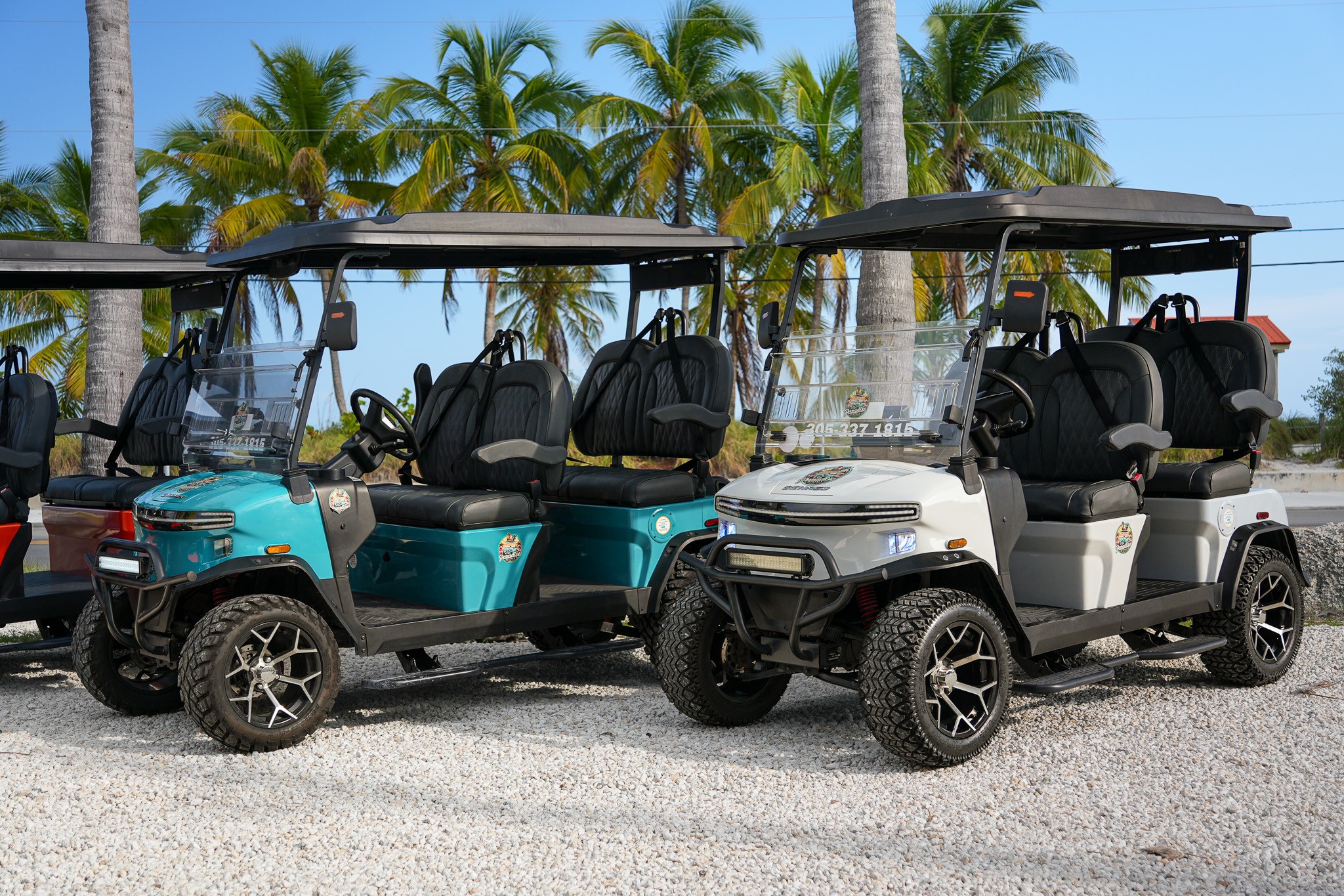 Teal and white golf carts side by side